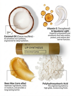 Coconut Lime Lip Balm